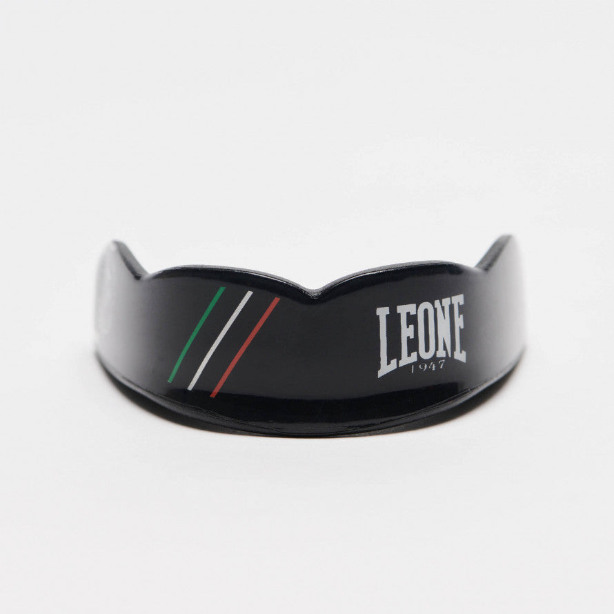 PARADENTI FLAG LEONE 1947 PD517
